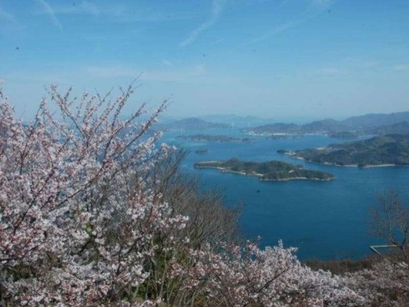 広島県三原市竜王山から見えるしまなみ海道