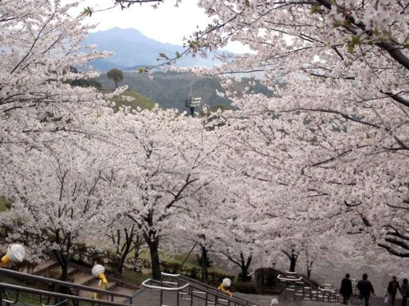 菊池公園