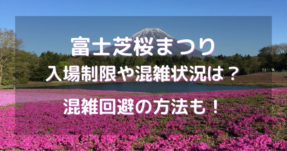 富士芝桜まつり2024入場制限や混雑状況は？混雑回避の方法も！