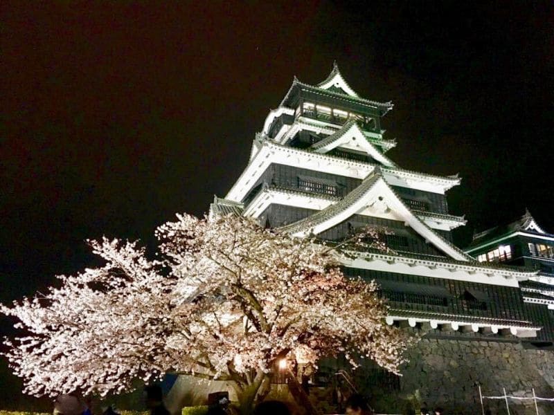 熊本城夜桜ライトアップ