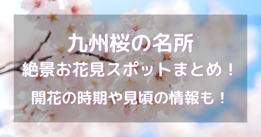 九州夜桜ライトアップ2024おすすめスポットまとめ！イベントお祭り情報も！