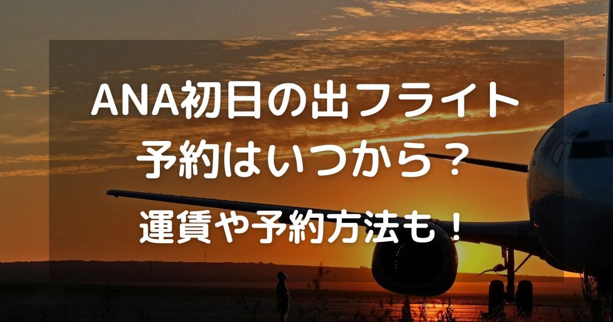 ANA初日の出フライト2025予約はいつから？運賃や予約方法も！